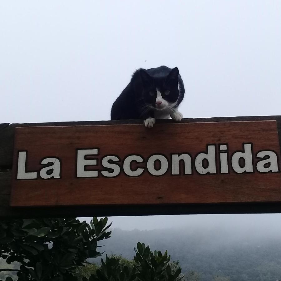 La Escondida Villa Praia do Rosa Bagian luar foto